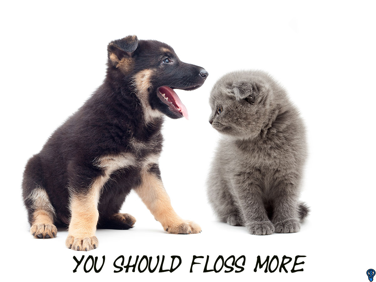 Flossing Is An Important Part Of Oral Hygiene